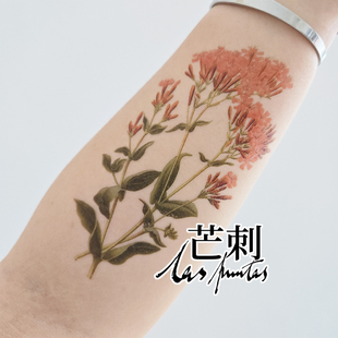 芒刺文身贴|高雪轮|捕蝇草防水持久彩色彩绘纹身贴花小众风高级感