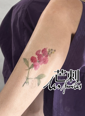 芒刺文身贴|宽叶山黧豆|防水持久彩色彩绘纹身贴花小众风高级感