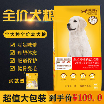 阿q仓金毛拉不拉多通用型幼犬