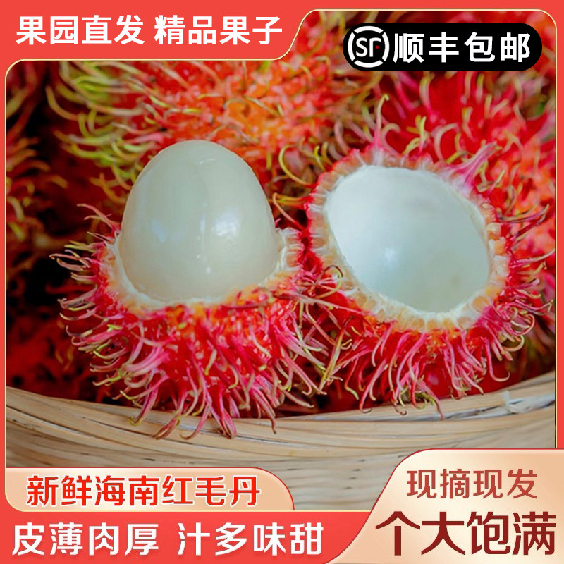 海南红毛丹毛荔枝水果