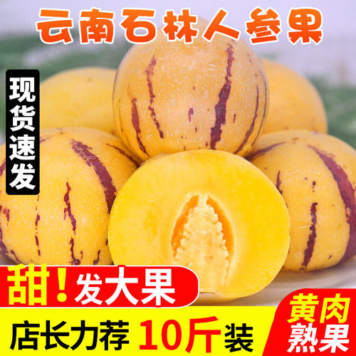 云南人参果水果圆果黄肉大果
