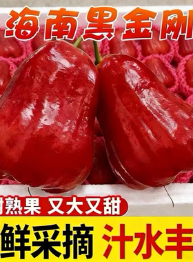 【顺丰包邮】海南黑金刚莲雾水果5斤当季新鲜水果大果孕妇果整箱