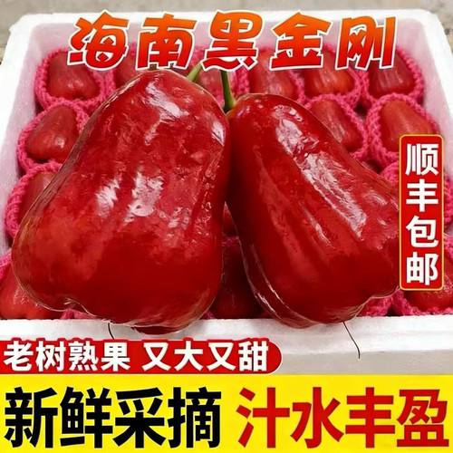 【顺丰包邮】海南黑金刚莲雾水果5斤当季新鲜水果大果孕妇果整箱