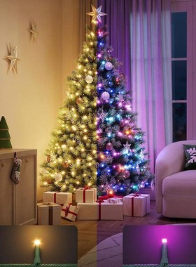 Govee 圣诞节室内节日装饰用智能闪光灯串 子弹头LED灯珠场景模式