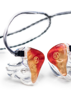 Step Sound波兰Custom Art FIBAE 2 2动铁软硬模定制入耳耳塞耳机