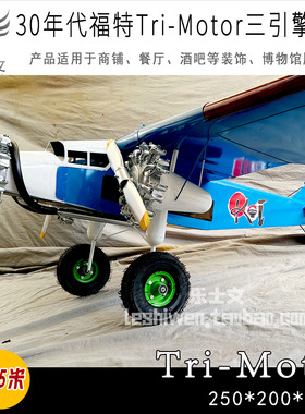 LOFT复古工业风福特铁皮飞机吊饰挂饰创意酒吧餐厅软装饰飞机模型