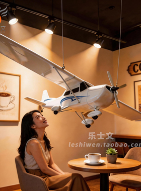小型通用私人飞机塞纳斯172型