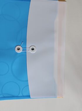 W264双缠绳塑料资料袋A4文件袋资料套学生透明树德办公用品档案袋