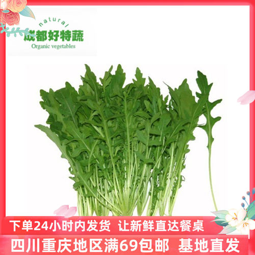 成都好特蔬新鲜沙拉蔬菜芝麻菜芝麻叶顺丰包邮 Arugula 500G