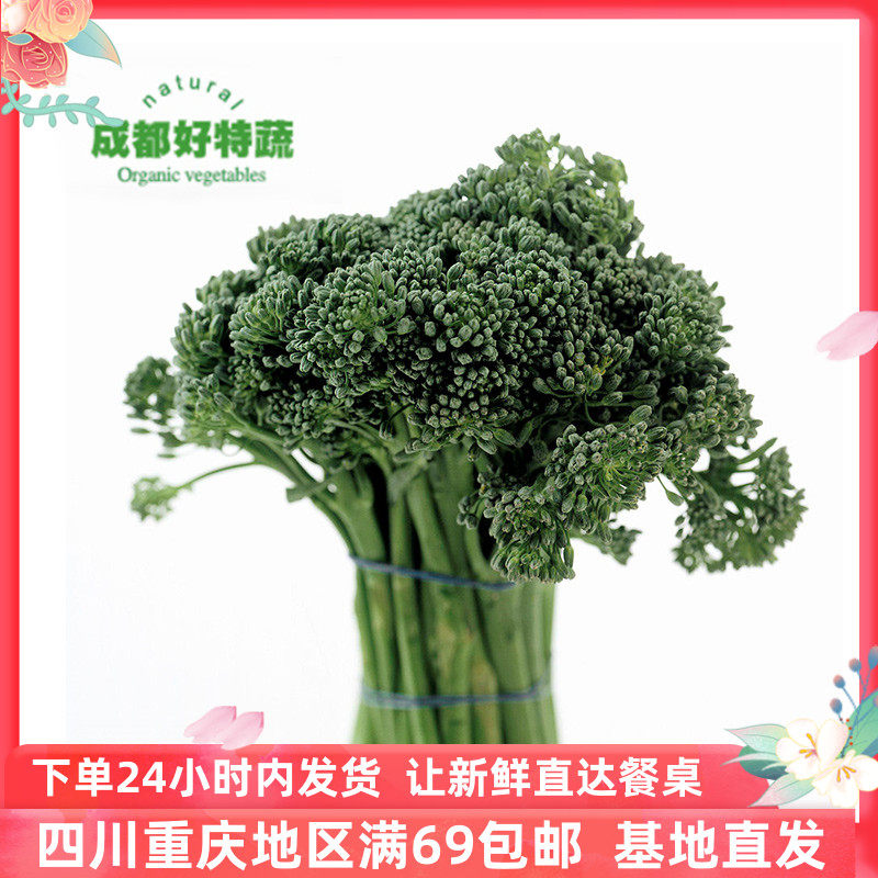 西兰苔新鲜青花苔芥兰笋迷你小西兰花蔬菜500g青花菜