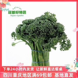 西兰苔新鲜青花苔芥兰笋迷你小西兰花蔬菜500g青花菜