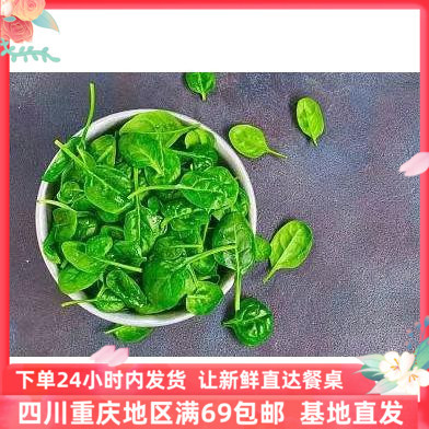 迷你菠菜新鲜沙拉蔬菜100克