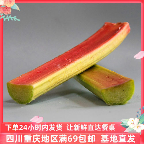 食用大黄 Rhubarb 甜品西点食材新鲜特色蔬菜 500克基地直供包邮