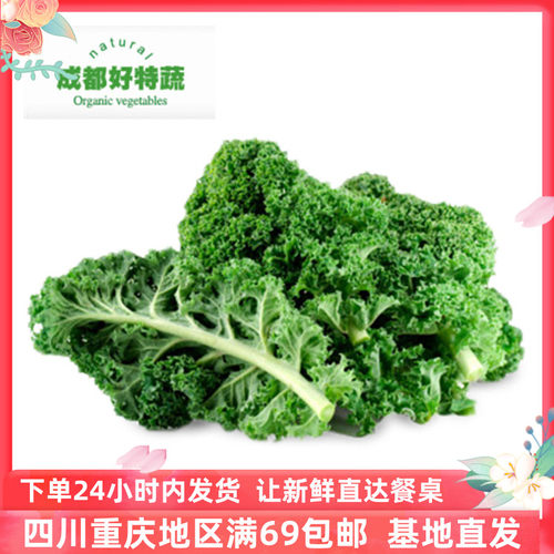 羽衣甘蓝kale500克西餐食材蔬菜