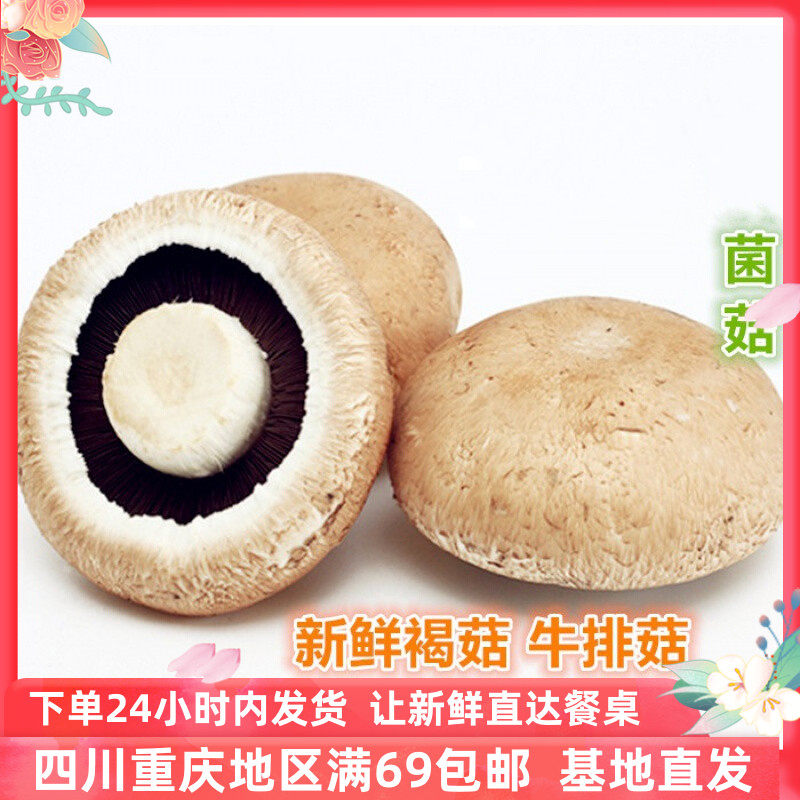 褐菇牛排菇波多黎各菌新鲜蘑菇西餐食材顺丰包邮 Portabella 500g