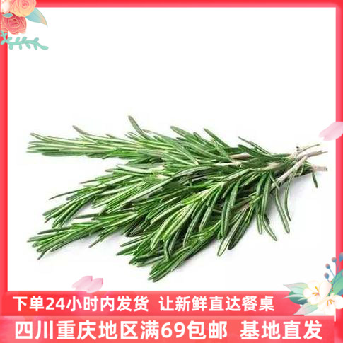 新鲜西式香料迷迭香牛排调料成都好特蔬ROSEMARY 100G顺丰包邮