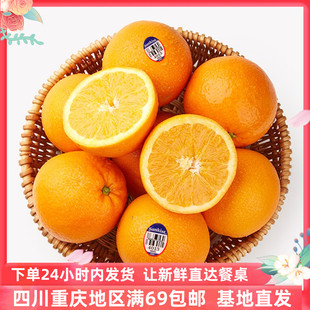 新奇士橙子脐橙新鲜进口水果榨汁食材顺丰包邮orange 500克