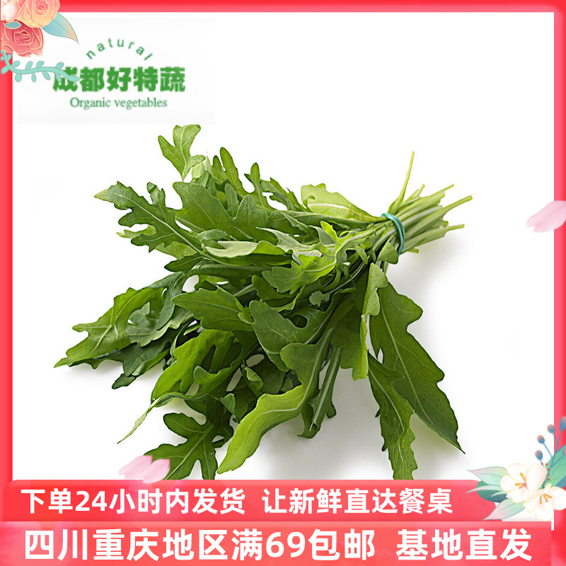 成都好特西餐食材rocket新鲜沙拉