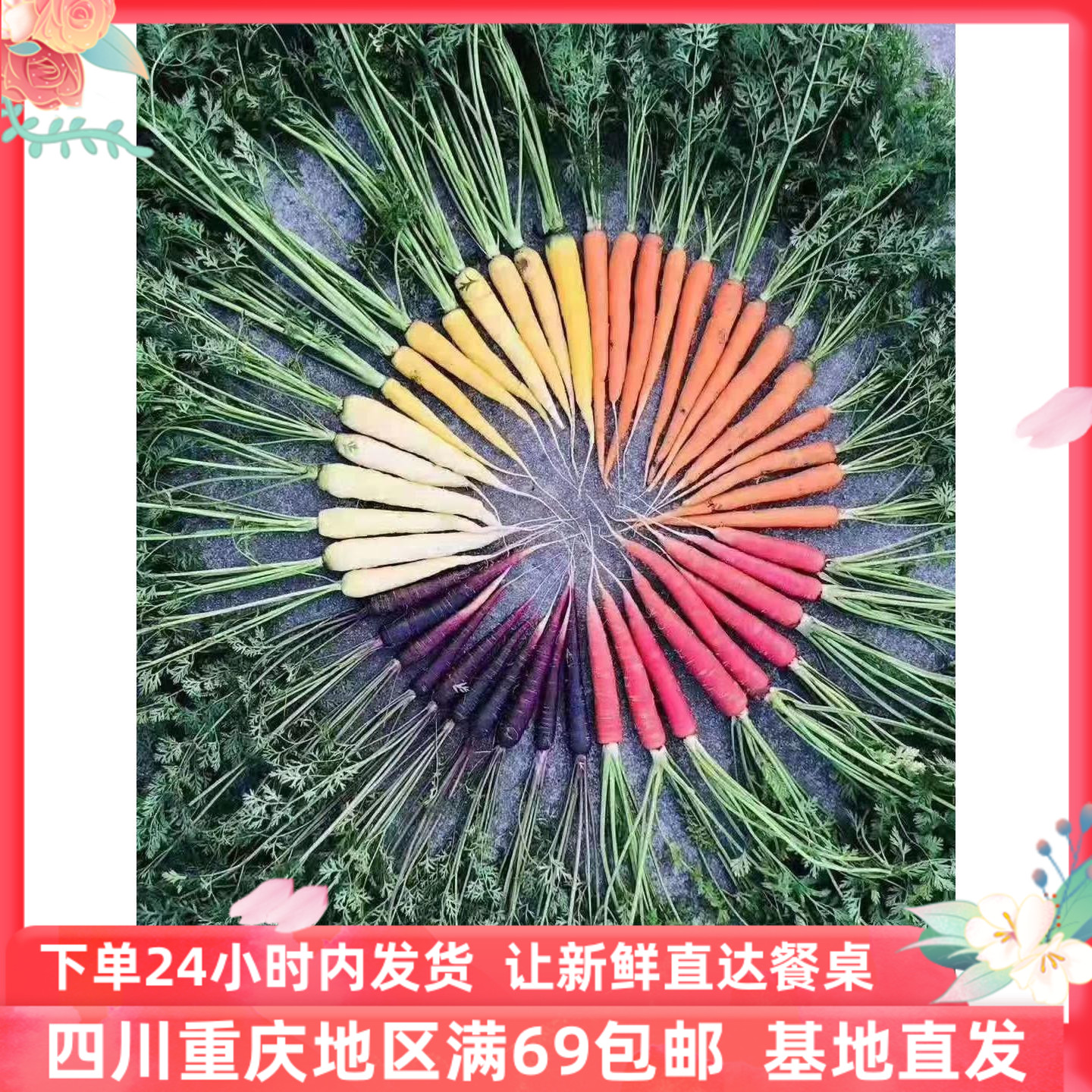 彩色胡萝卜西餐特色食材新鲜沙拉蔬菜顺丰包邮 mixed carrot 500g