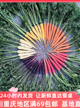 彩色胡萝卜西餐特色食材新鲜沙拉蔬菜顺丰包邮 mixed carrot 500g