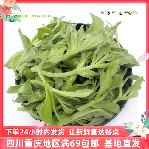 冰草新鲜冰菜沙拉蔬菜农场直供特色食材顺丰包邮250克 ice plant