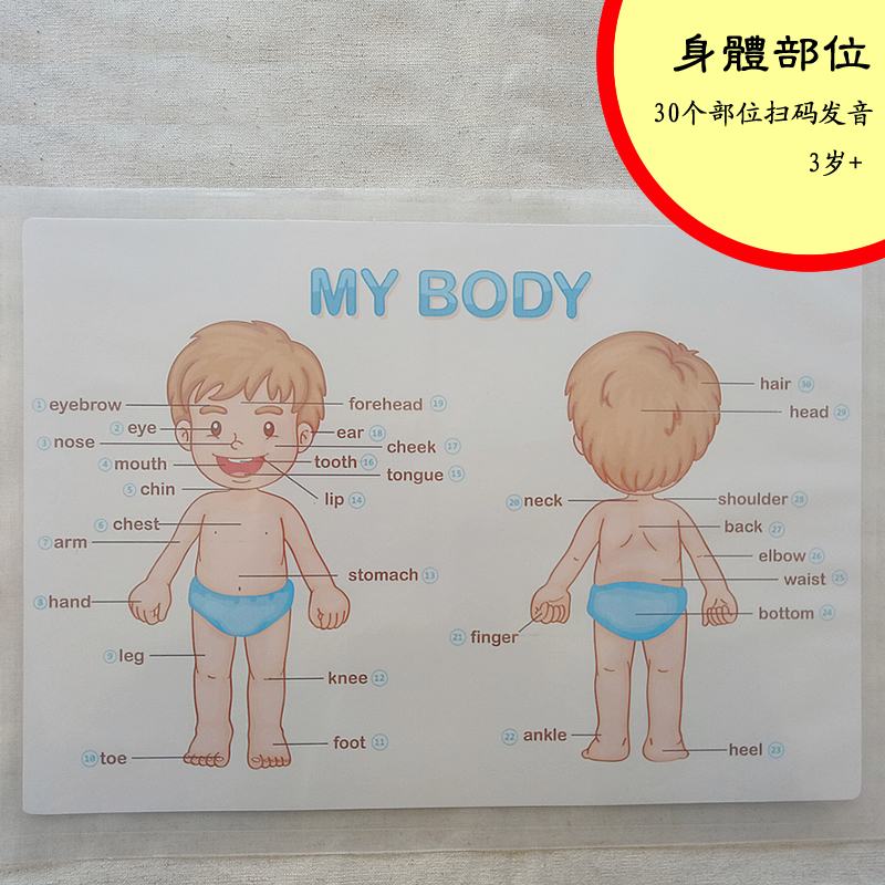 儿童身体部位认识 扫描二维码英文发音 30