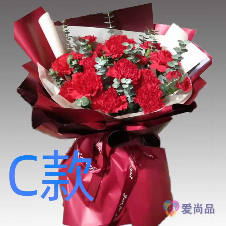 生日慰问康乃馨湖南娄底花店送花冷水江涟源市双峰县同城鲜花速递