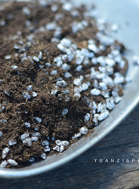 PHYSIS 进口草炭土小包装有机营养土肥料盆栽通用种植土囊