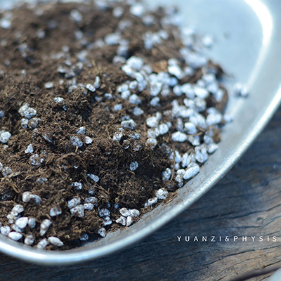 进口草炭土营养土通用种植土囊