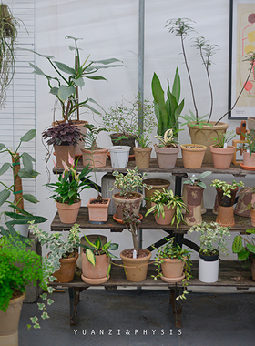 PHYSIS super1号链接直播间专拍