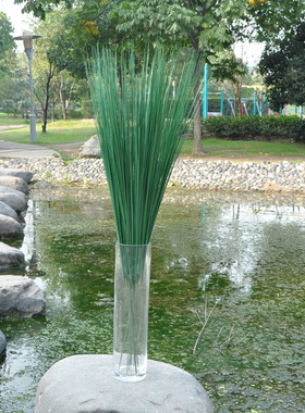 仿真钢草 刚草针草莎草 仿真叶小草假草丝带草细草长草配草洋葱草