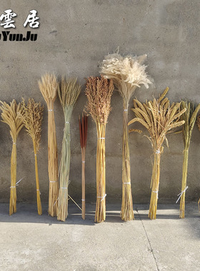 天然真小麦燕麦水稻芦苇稻穗花束麦穗干花装饰家居客厅摆设大麦