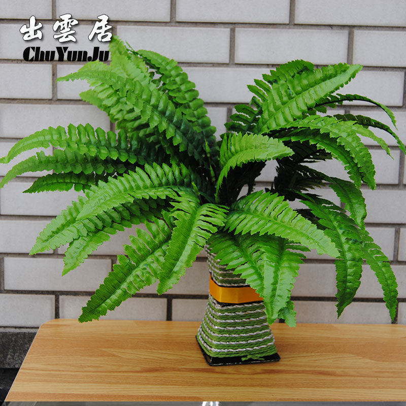 仿真铁树插花道具波斯草