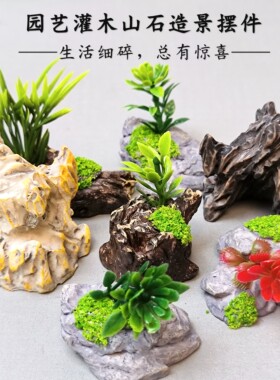微景观灌木山石创意盆景diy装饰