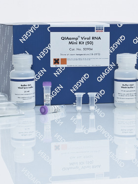 QIAGEN 52904 病毒RNA小提试剂盒 QIAamp Viral RNA Mini 50T