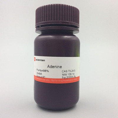 科研 腺嘌呤 维生素B4 6-氨基嘌呤 Adenine 73-24-5 Scientan