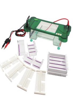 君意东方 水平电泳槽  JY-SPCT