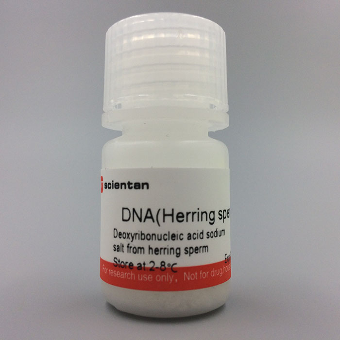鲱鱼精DNA 脱氧核糖核酸  DNA(Herring Sperm)Sigma  D3159 1g