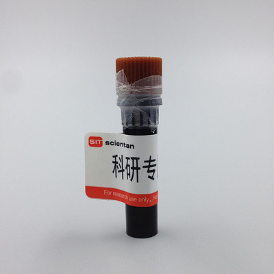 科研 胃蛋白酶抑制剂 Pepstatin A 26305-03-3 Scientan