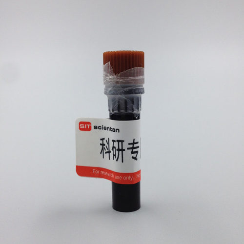 科研 胃蛋白酶抑制剂 Pepstatin A 26305-03-3 Scientan
