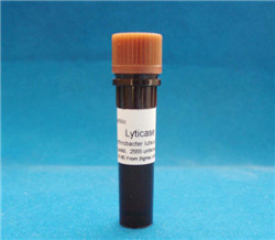 科研 溶壁酶 溶细胞酶 lyticase 37340-57-1 Sigma L4025 5ku