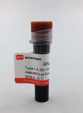 科研 核糖核酸酶A RNA酶 RNase A 9001-99-4 Sigma R4875 25MG