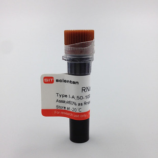 科研 RNA酶 核糖核酸酶A 9001 RNase Sigma 25MG R4875