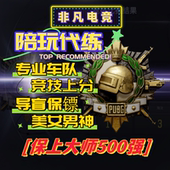 绝地求生PUBG竞技排位保镖陪玩代练冲榜大师500强专业上分车队