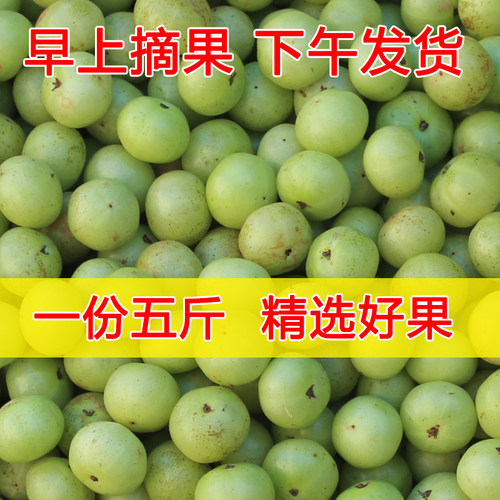 5斤新鲜油甘果橄榄孕妇