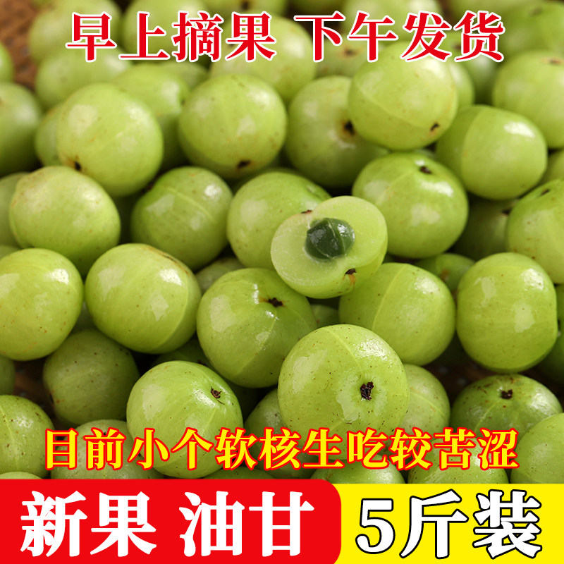 特价5斤新鲜油甘果青橄榄孕妇酸水果牛甘果余甘子油柑子余甘果 - 实物图