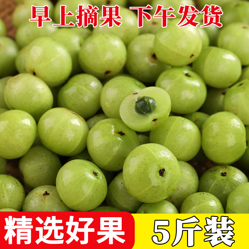 柿饼甜油甘油甘果余甘果