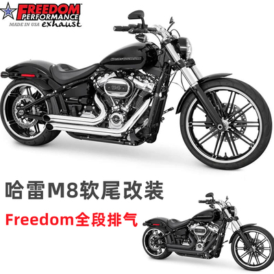 18年哈雷软尾肥突破街霸路威改装
