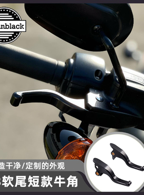 Advanblack哈雷路威ST街霸肥仔改装三指短款刹车牛角离合性能手札