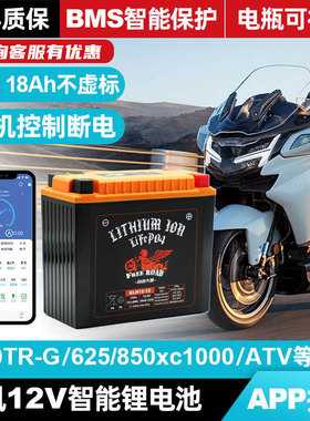 春风摩托车12V智能电瓶春风450 650 1250TR-G 沙滩车磷酸铁锂电池